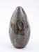 iron_paddled_egg